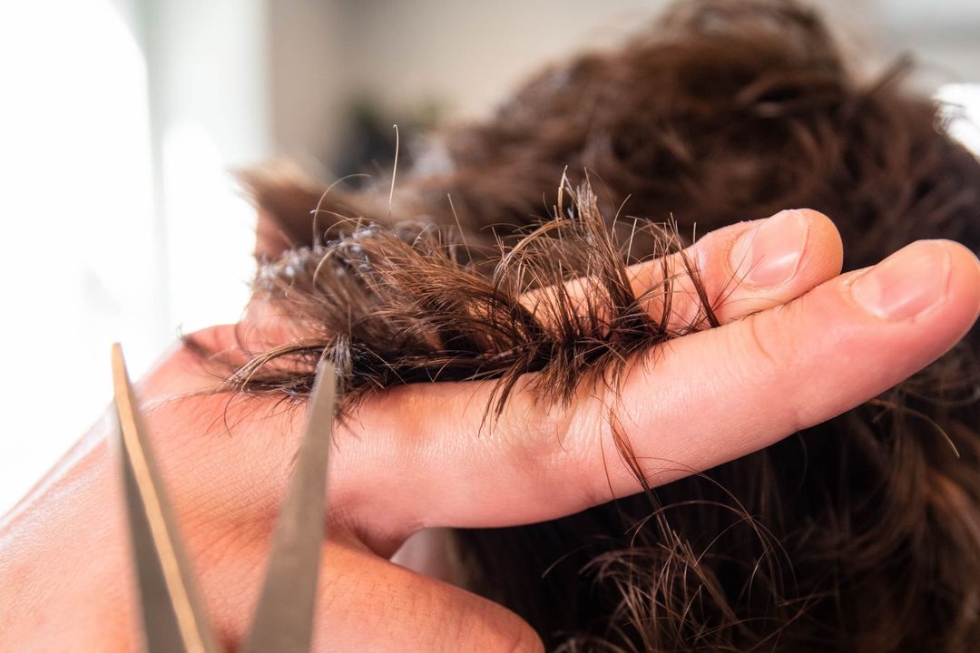 A hairdresser holding a section of hair between two fingers, about to trim it with scissors
